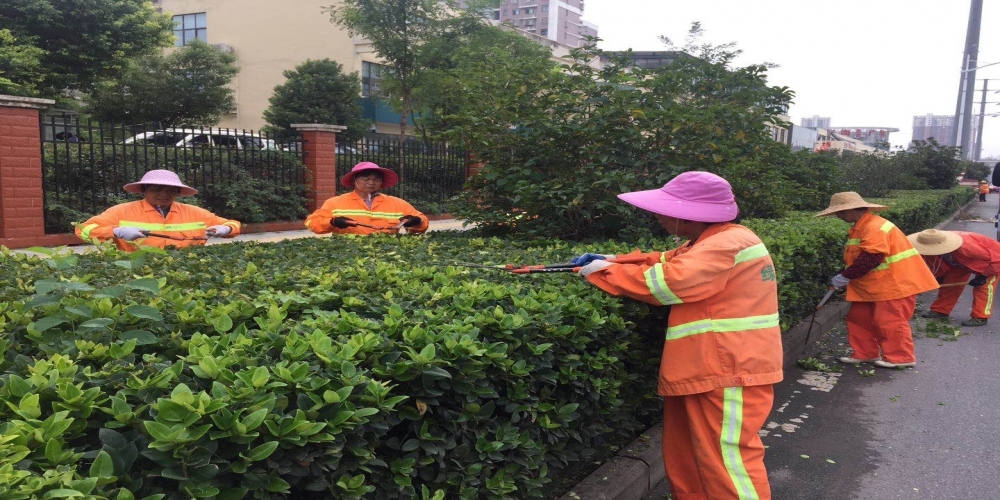 新站區(qū)道路清掃保潔、綠化管養(yǎng)項目