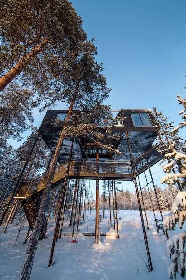 住宅設計 | Tree Hotel-睡在星空中的樹屋